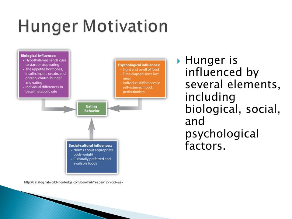 What are social and biological factors that influence human behavior?